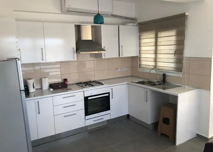 Reflex Spacious And Comfortable 公寓 尼科西亚